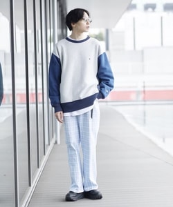 styling_image