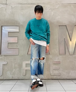 styling_image
