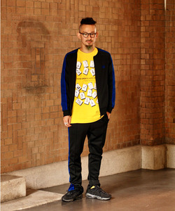 styling_image