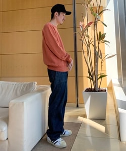 styling_image