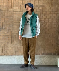 styling_image