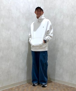 styling_image