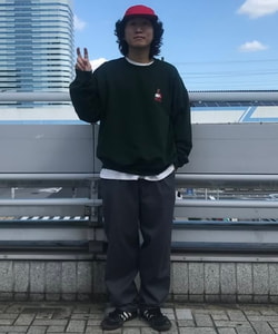 styling_image