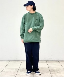 styling_image