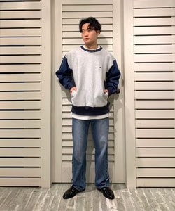 styling_image