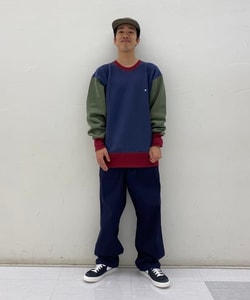 styling_image