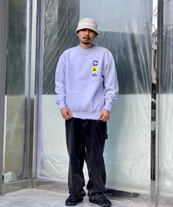styling_image