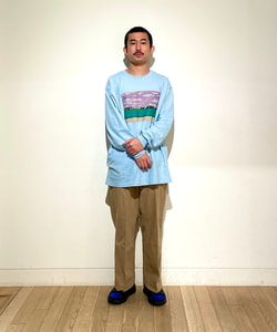 styling_image