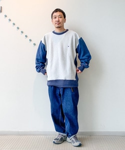 styling_image