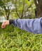 thumbail6