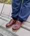 thumbail5