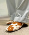thumbail9