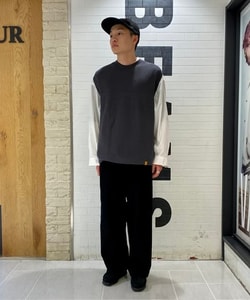 styling_image