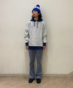 styling_image