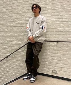 styling_image
