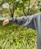 thumbail8