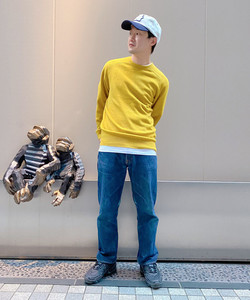 styling_image