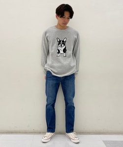styling_image