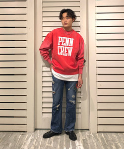styling_image