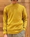 thumbail4