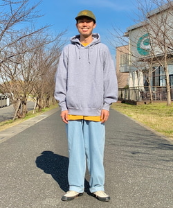 styling_image