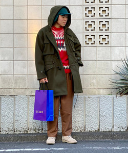 styling_image