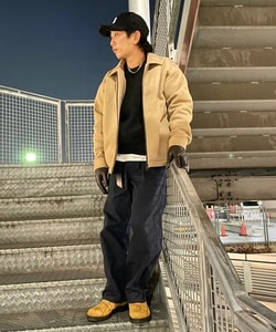 styling_image