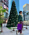 thumbail8