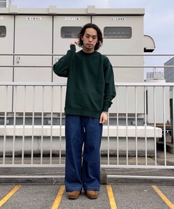styling_image