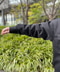 thumbail5