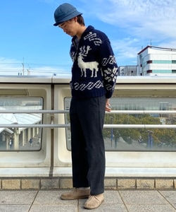 styling_image
