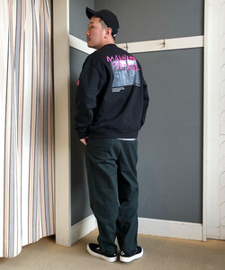 styling_image
