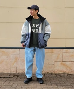 styling_image