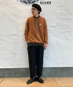 styling_image