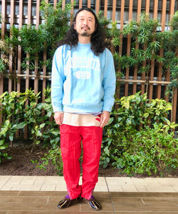styling_image