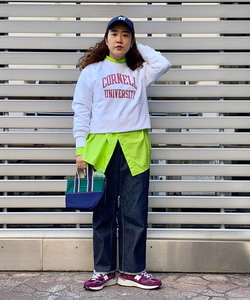 styling_image
