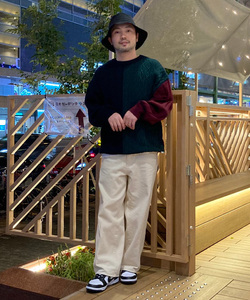 styling_image
