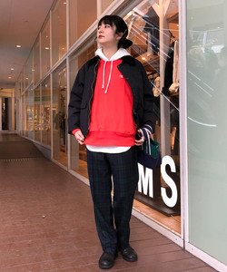 styling_image