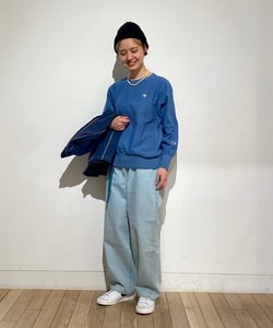 styling_image