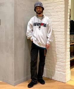 styling_image