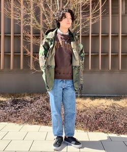 styling_image