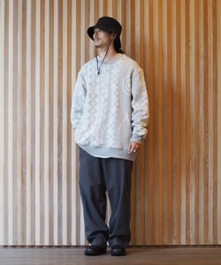 Pilgrim Surf+Supply（ピルグリム サーフ+サプライ）ARC'TERYX