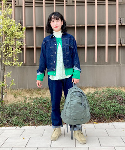 styling_image