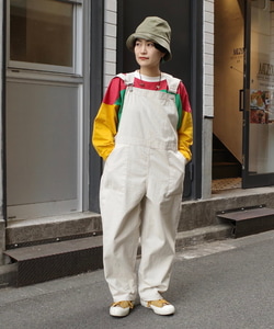 styling_image