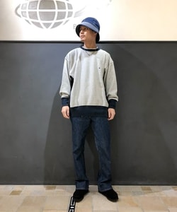 styling_image