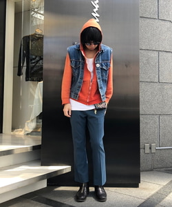 styling_image