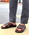 thumbail5