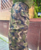 thumbail8