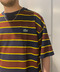 thumbail4