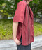 thumbail5